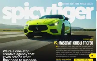 Spicytiger.agency Screenshot 2024-07-03 10:57:15