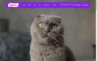 Biolivepet.com Screenshot 2024-06-28 07:52:38