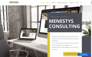 Menestys-consulting.fr Screenshot 2024-06-30 23:42:43
