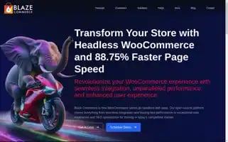Blazecommerce.io Screenshot 2024-06-14 00:32:49