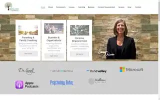 Suedecaro.com Screenshot 2024-06-12 20:18:38