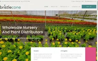 Bristlecone.co.za Screenshot 2024-07-03 07:44:41