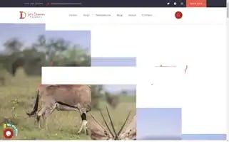 Letsdiscovertravel.com Screenshot 2024-04-18 08:05:50