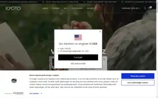 Kyoto.dk Screenshot 2024-06-12 06:56:02