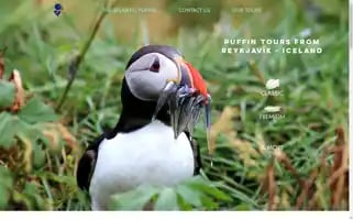 Puffintrips.com Screenshot 2024-04-17 04:47:01