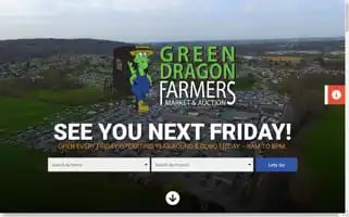 Greendragonmarket.com Screenshot 2024-05-16 00:25:24