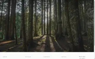 Marinaleight.com Screenshot 2024-05-04 22:51:41