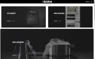 Boratechnika.lt Screenshot 2024-05-28 00:05:57