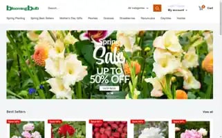 Bloomingbulb.com Screenshot 2024-05-05 03:33:45