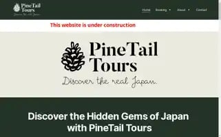 Pinetailtours.com Screenshot 2024-04-23 05:55:26