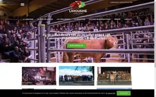 Limousine.org Screenshot 2024-06-28 01:41:18