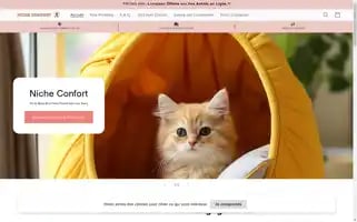 Nicheconfort.com Screenshot 2024-05-02 07:03:53