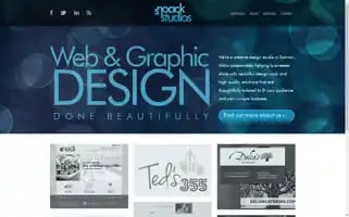 Snoackstudios.com Screenshot 2024-07-01 16:26:38