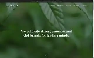 Wearepotency.com Screenshot 2024-07-06 22:44:36