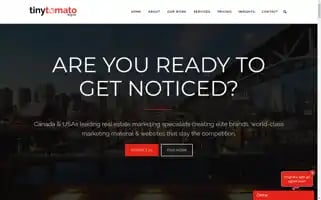 Tinytomatodesign.com Screenshot 2024-05-14 12:49:47