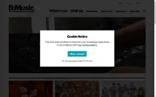 Bmusic.co.uk Screenshot 2024-06-27 05:17:28