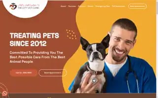 Thecityvetclinic.com Screenshot 2024-05-16 20:40:58