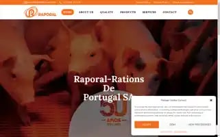 Raporalsa.com Screenshot 2024-05-25 22:33:06