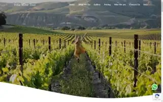 Villawinetour.com Screenshot 2024-04-19 08:14:36