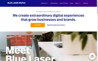 Bluelaserdigital.com Screenshot 2024-06-13 03:33:38