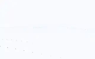 Makitaservisi.com Screenshot 2024-07-08 10:47:45