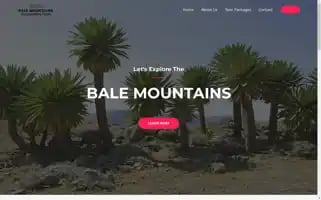 Balemountainsoutstandingtours.com Screenshot 2024-04-23 08:16:58