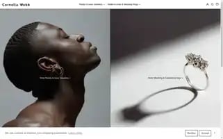 Corneliawebb.com Screenshot 2024-05-04 02:41:45