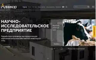 Alnikor.com Screenshot 2024-07-08 05:49:49
