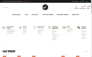 Visiontermicaleon.com Screenshot 2024-04-18 17:12:07