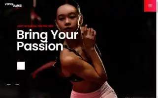 Forcedancetour.com Screenshot 2024-04-17 04:29:37