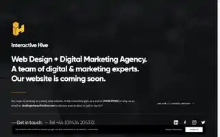 Interactivehive.com Screenshot 2024-06-27 15:04:41