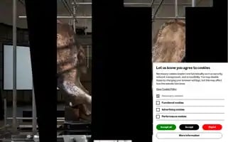 Baltic.art Screenshot 2024-06-30 03:02:18