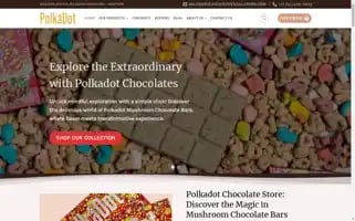 Polkadotofficialstore.com Screenshot 2024-06-18 01:31:30