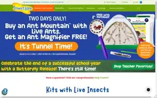 Insectlore.com Screenshot 2024-05-04 14:52:14