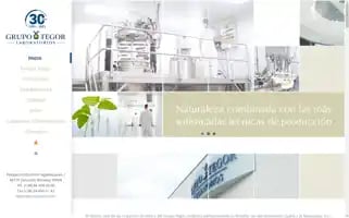 Grupotegor.com Screenshot 2024-07-08 04:58:41