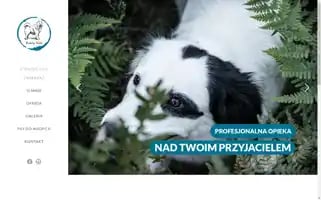 Bialy-kiel.pl Screenshot 2024-07-03 00:59:07