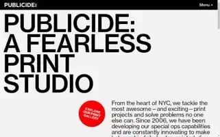 Publicide.com Screenshot 2024-05-13 14:04:08