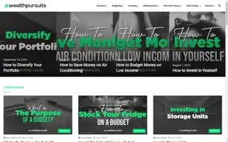 Wealthpursuits.com Screenshot 2024-05-15 00:44:07