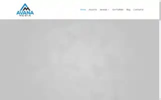 Avanamedia.com Screenshot 2024-06-17 11:05:33