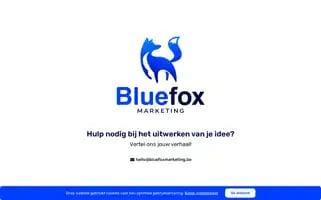 Bluefoxmarketing.be Screenshot 2024-06-27 00:25:07