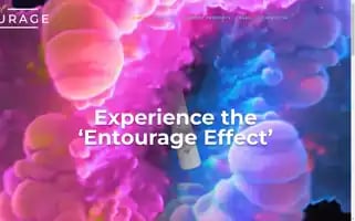 Entourageusa.com Screenshot 2024-04-16 10:34:33