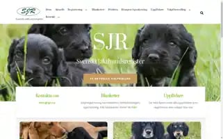 Sjr.nu Screenshot 2024-07-02 06:21:05