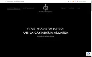 La-capitana.es Screenshot 2024-07-08 18:18:27