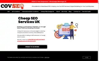 Covseo.com Screenshot 2024-06-19 00:31:44