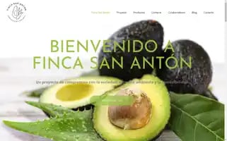 Fincasananton.es Screenshot 2024-05-19 13:46:07