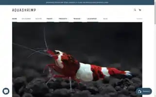Aquashrimp.it Screenshot 2024-04-27 09:18:44