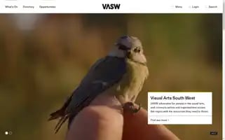 Vasw.org.uk Screenshot 2024-07-03 16:08:11