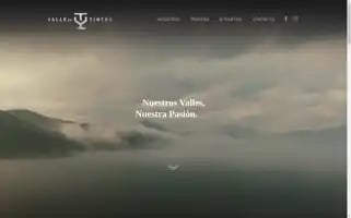 Valledetintos.com Screenshot 2024-07-01 15:38:11