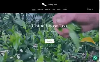 Teaingchina.com Screenshot 2024-06-25 06:42:57