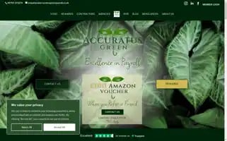 Accuratusgreenpayroll.co.uk Screenshot 2024-07-10 04:17:29